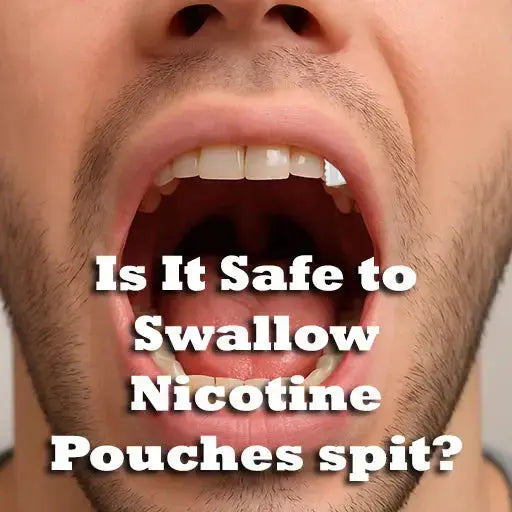Can-You-Swallow-ZYN-Spit-Is-It-Safe-to-Swallow-Nicotine-Pouch-Saliva nicotinez.com