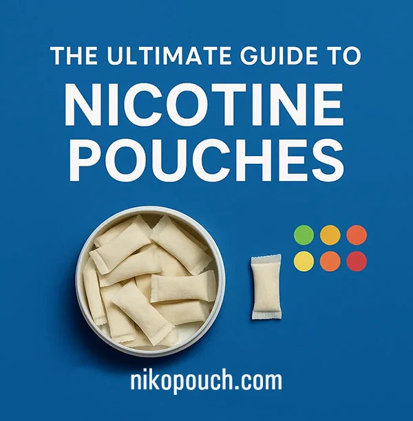 The Ultimate Guide to Nicotine Pouches: Benefits, Types &amp; Why Choose Nikopouch.com